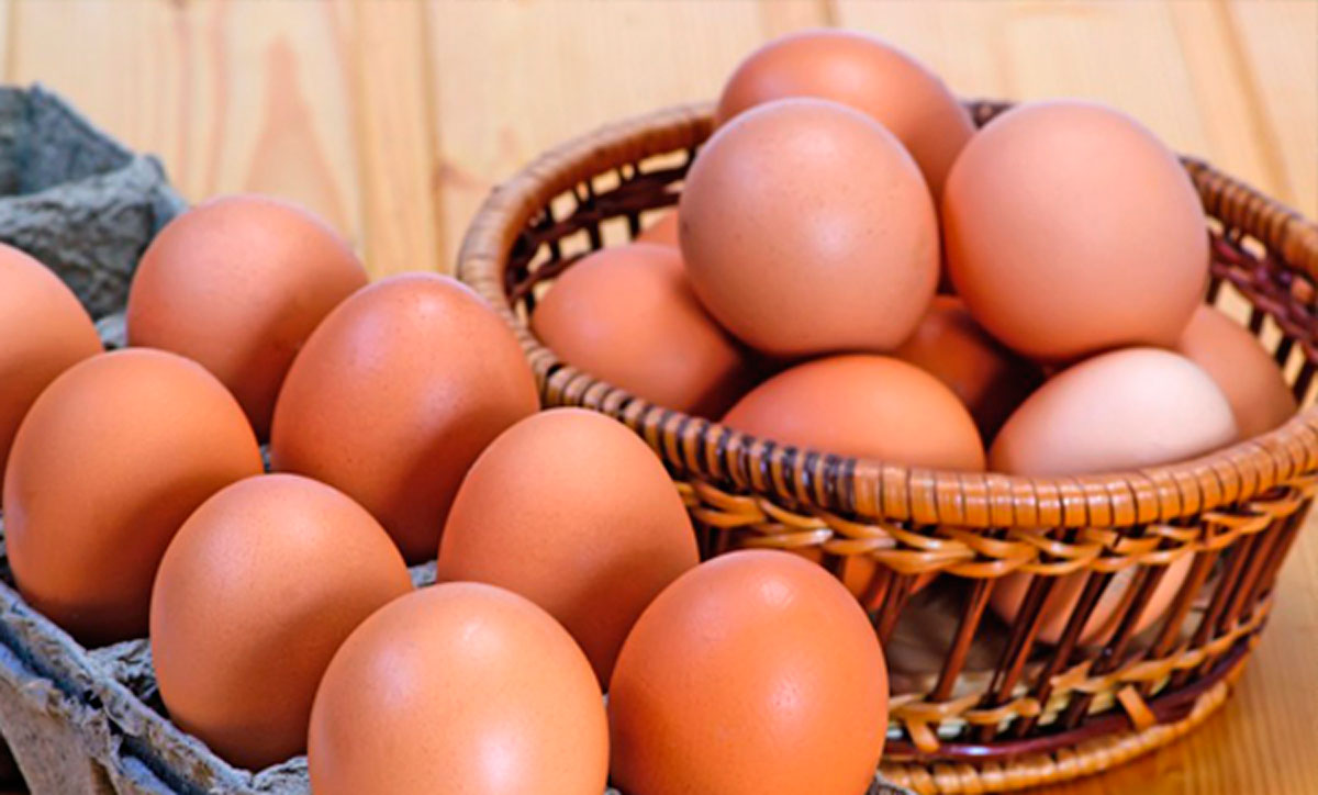 Картонная упаковка для яиц оптом – купить в Краснодаре, Ростове, Грозном и Москве