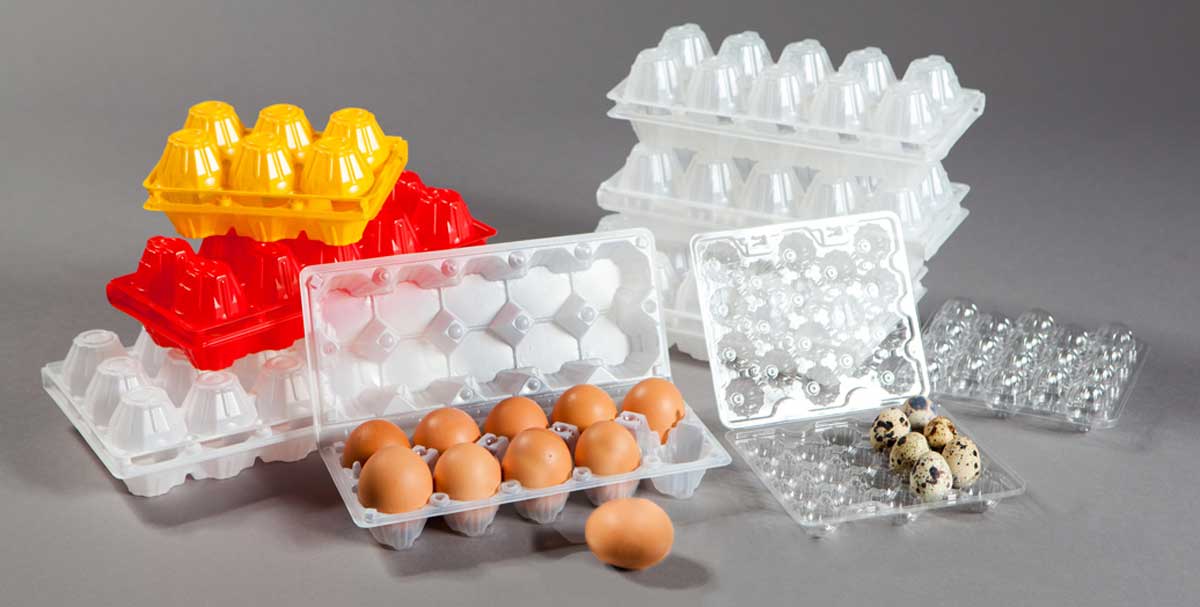 Упаковка для яиц из пластика в Краснодаре – большой выбор, быстра доставка, низкие цены