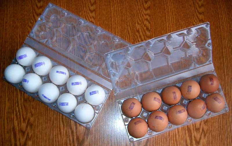 Пластиковые контейнеры для упаковки яиц оптом в Краснодар, Ростове, Грозном и Москве