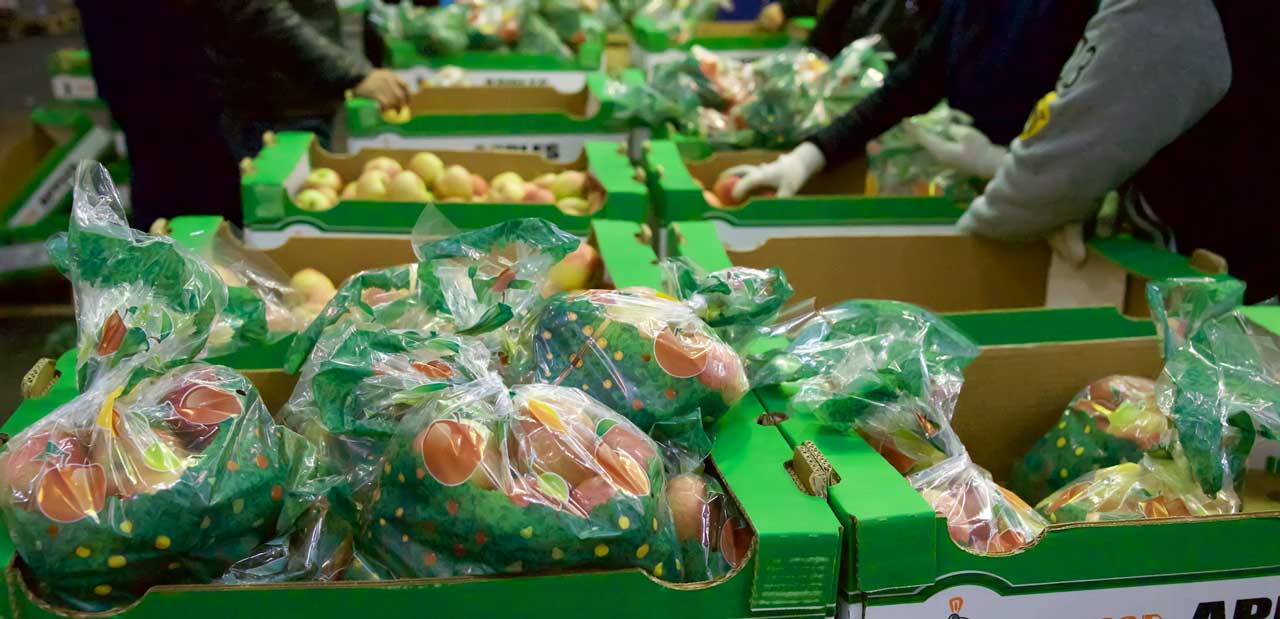 Полиэтиленовые пакеты ПВД для фасовки овощей и фруктов оптом в Краснодаре, Ростове, Грозном и Москве